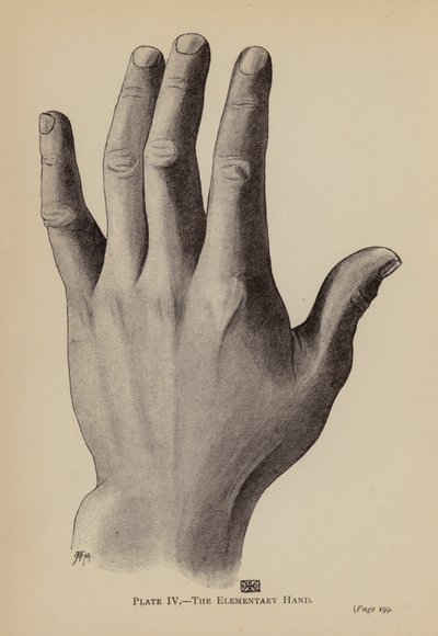 Alkeiskäsi (litho) tekijältä Rosamund Brunel Horsley Gotch