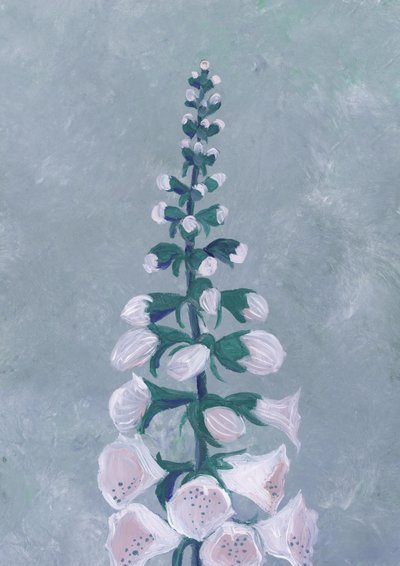 Valkoisen sormustinkukan kukka tekijältä Rosana Laiz Blursbyai