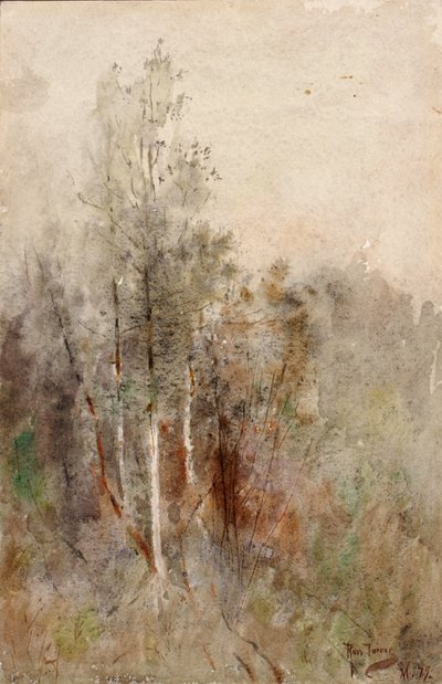 Puututkimus, 1879. tekijältä Ross Turner