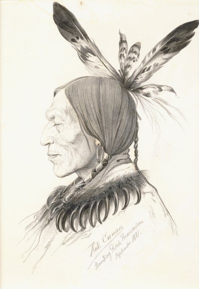 Heu-Topa, Neljä sarvea tai Jagoo, Tarinankertoja, Hunkpapa Siouxin päällikkö tekijältä Rudolf Cronau