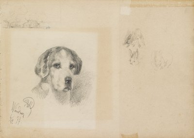 Koiran muotokuva: Windsor, 1877 tekijältä Rudolf Wimmer