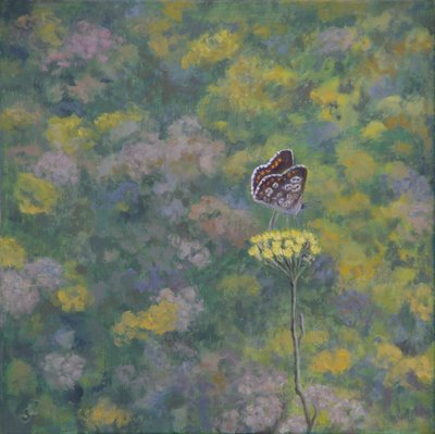 Brown Argus (kuvan jälkeen: Sara Crow) tekijältä Ruth Addinall
