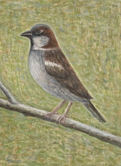 Varpunen, 2008 (öljy puulle) tekijältä Ruth Addinall