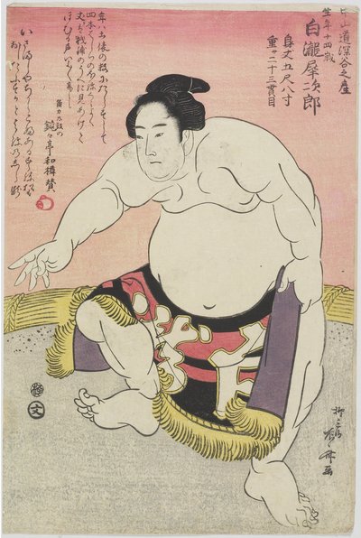 Tesmo _ Wre ster Shirataki Noodles _ tekijältä Ryuryukyo Shinsai