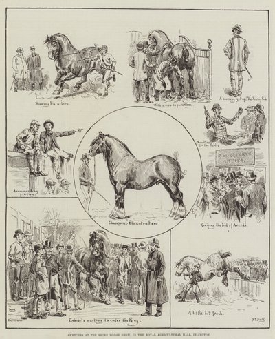 Luonnoksia Shire Horse Showssa Royal Agricultural Hallissa Islingtonissa tekijältä S.T. Dadd