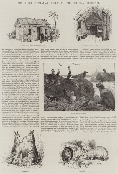 Etelä-Australian tuomioistuin siirtomaanäyttelyssä tekijältä S.T. Dadd