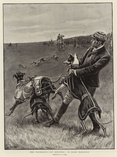 Waterloo Cupin kokous, harvinainen kourallinen tekijältä S.T. Dadd