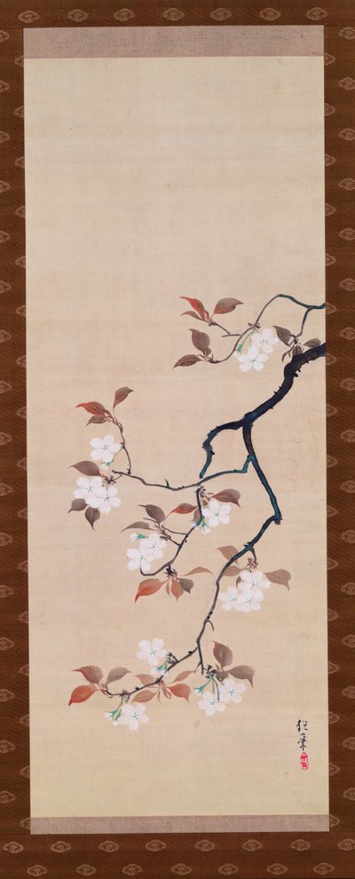 Riippuva kirjakäärö, joka kuvaa kirsikankukkia, kolmesta vuodenajasta, japanilainen, 1800-luvun alku tekijältä Sakai Hoitsu