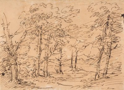 Maisema, taustalla puita ja vuoria tekijältä Salvator Rosa