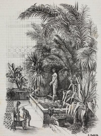 Laocoonte e seus filhos, estátua romana, litografia de Salvatore Puglia de Poliorama Pittoresco, n 1, 13 de agosto finlandês tekijältä Salvatore Puglia