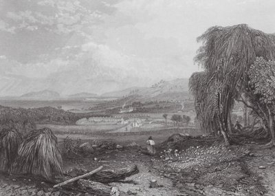 Australia: Cove, Tasmania (kaiverrus). tekijältä Samuel (after) Prout