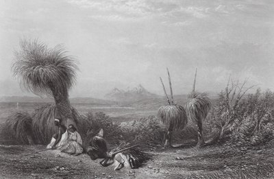 Australia: Grass Tree Plains (kaiverrus). tekijältä Samuel (after) Prout