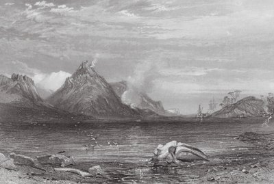 Australia: Whaling Station (kaiverrus). tekijältä Samuel (after) Prout