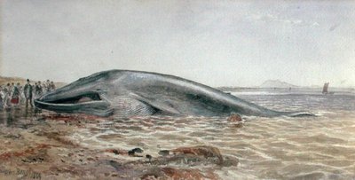 Aberlady-valas, Longriddy Bay tekijältä Samuel Bough