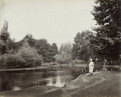 Pölykanava Chunar Baghin alapuolella, Kashmir, S.O. 1865 (albumin hopeaprintti) tekijältä Samuel Bourne