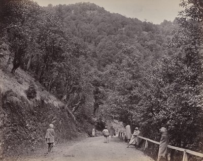Shimla. The Mall eli pääkatu tekijältä Samuel Bourne