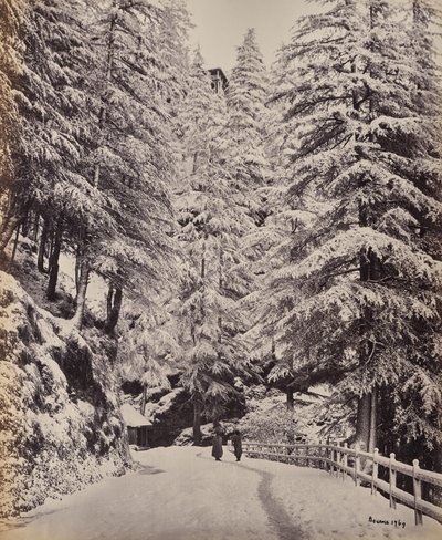  tekijältä Samuel Bourne