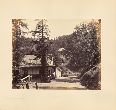 Simla; The Mall, Combermere Ridge tekijältä Samuel Bourne