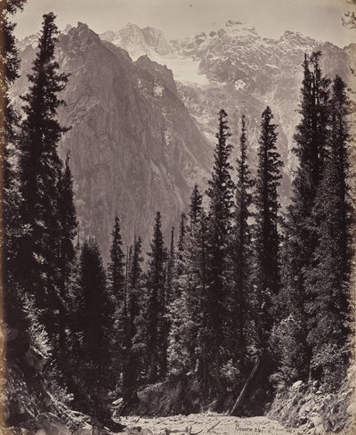  tekijältä Samuel Bourne