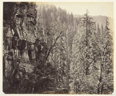 Nimetön [kalliot ja puut], c. 1865. tekijältä Samuel Bourne