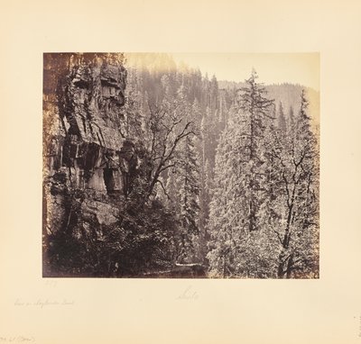 Näkymä Narkundan metsässä tekijältä Samuel Bourne