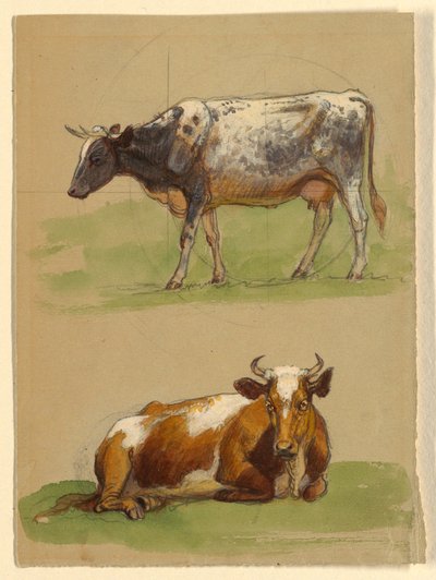 Piirros, Karja, lehmä kävelemässä ja lehmä kyyryssä, 1875-80 tekijältä Samuel Colman