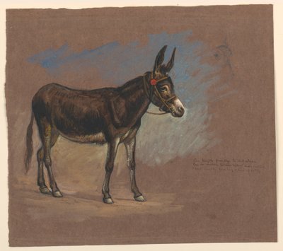 Piirustus, Tutkimus. Muuli, 1872-75 tekijältä Samuel Colman