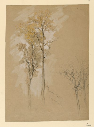 Oaks, Lady Wood Lane, Irvington tekijältä Samuel Colman