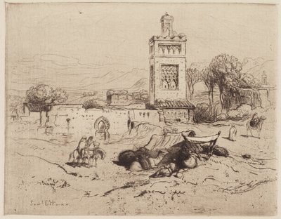 Moskeijan rauniot, Tlemcen, Algeria tekijältä Samuel Colman
