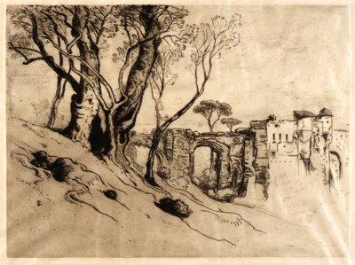Rivieran oliivipuut (salkusta, Twenty Original tekijältä Samuel Colman