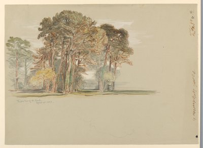 Pine Trees El Montessa, Kaliforniassa tekijältä Samuel Colman