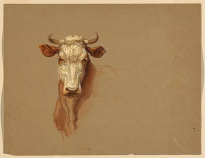 Dos estudis de Cattlefinnish tekijältä Samuel Colman
