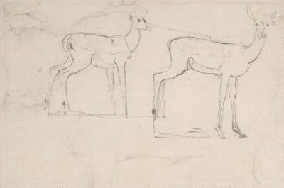 Tutkimus kahdelle seisovalle Pallah Deerille tekijältä Samuel Daniell