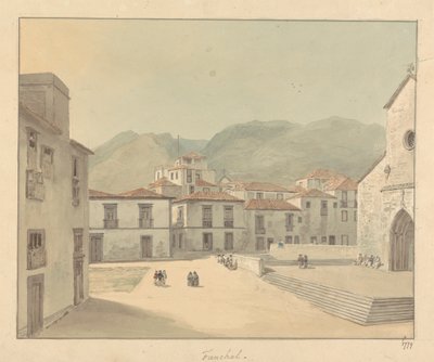 Funchal, Madeira: aukio ja kirkko tekijältä Samuel Davis