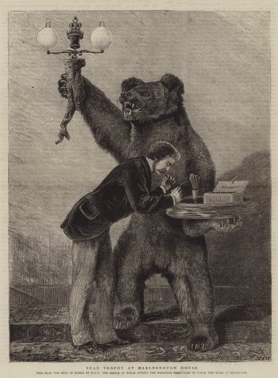 Bear Trophy Marlborough Housessa tekijältä Samuel Edmund Waller
