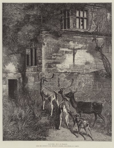 Kummitus tekijältä Samuel Edmund Waller
