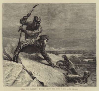 Hylkeet ja hylkeennahat, metsästäjät, jotka tappavat hylkeitä arktisilla alueilla tekijältä Samuel Edmund Waller