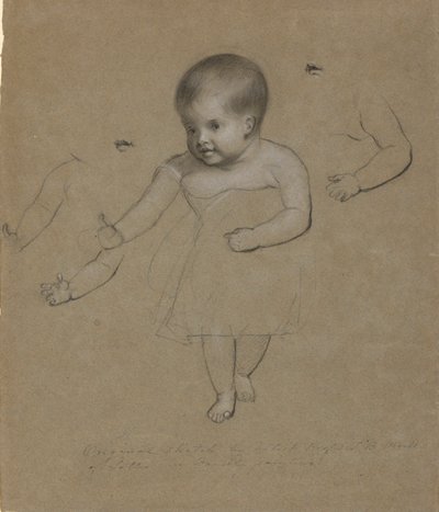 Charlotte Gebhardt Morse tekijältä Samuel Finley Breese Morse