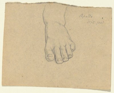 Tutkimus Jupiterin tuomiosta (Apollo, vasen jalka) tekijältä Samuel Finley Breese Morse