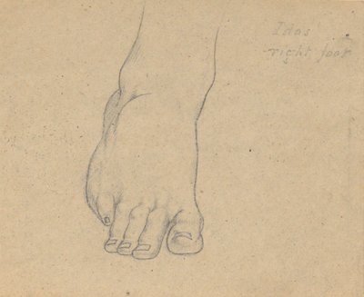 Tutkimus Jupiterin tuomiosta (Idas, oikea jalka) tekijältä Samuel Finley Breese Morse