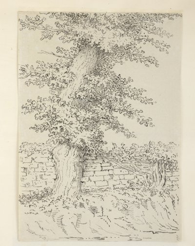 Lisätä. MS 15546 Am Elm Tree Bedminsterissä tekijältä Samuel Hieronymous Grimm