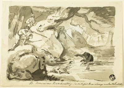 Pohjois-Amerikan karhunmetsästys (recto); Shell (käänteinen) tekijältä Samuel Howett