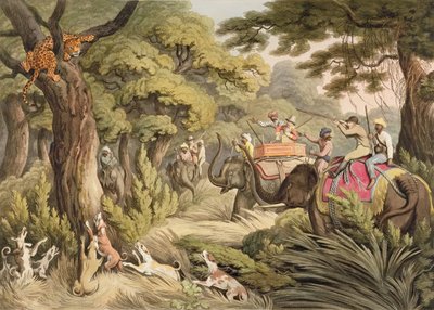 Shooting A Leopard, Oriental Field Sports, pub. kirjoittanut Edward Orme, 1807 (painettu) tekijältä Samuel Howett