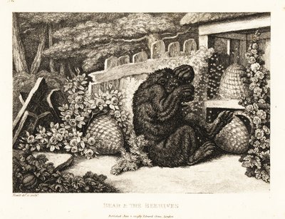 Ruskea karhu hyökkäsi mehiläisarmeijan kimppuun. 1811 (etsaus) tekijältä Samuel Howitt