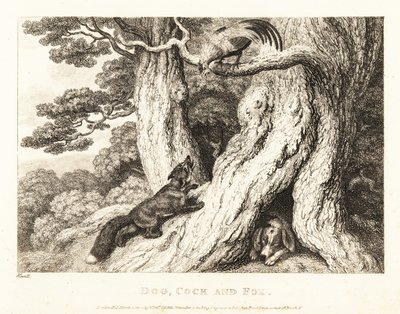 Kuko puussa pettää ketun, kun taas koira nukkuu. 1811 (etsaus) tekijältä Samuel Howitt