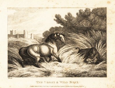 Hevonen ja villisika kohtaavat laitumella. 1811 (etsaus) tekijältä Samuel Howitt