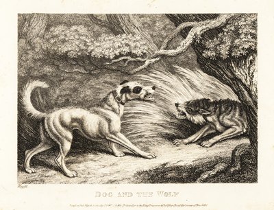 Kaulapantaan kiinnitetty talokoira tarjoaa ruokaa nälkäiselle sudelle. 1811 (etsaus) tekijältä Samuel Howitt