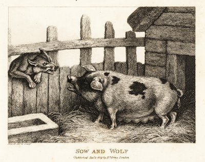 Iso emakko sikalaudassa ärähtelee susille. 1811 (etsaus) tekijältä Samuel Howitt