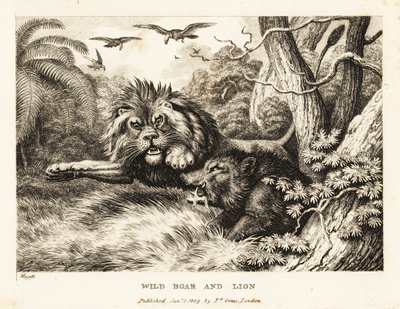 Leijona ja villisika tappelevat samalla kun korppikotkat kiertävät yläpuolella. 1811 (etsaus) tekijältä Samuel Howitt