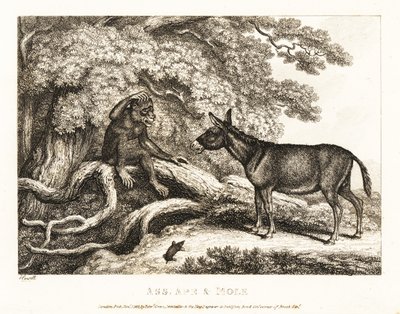 Apina ja aasi valittavat, kunnes myyrä hiljentää heidät. 1811 (etsaus) tekijältä Samuel Howitt